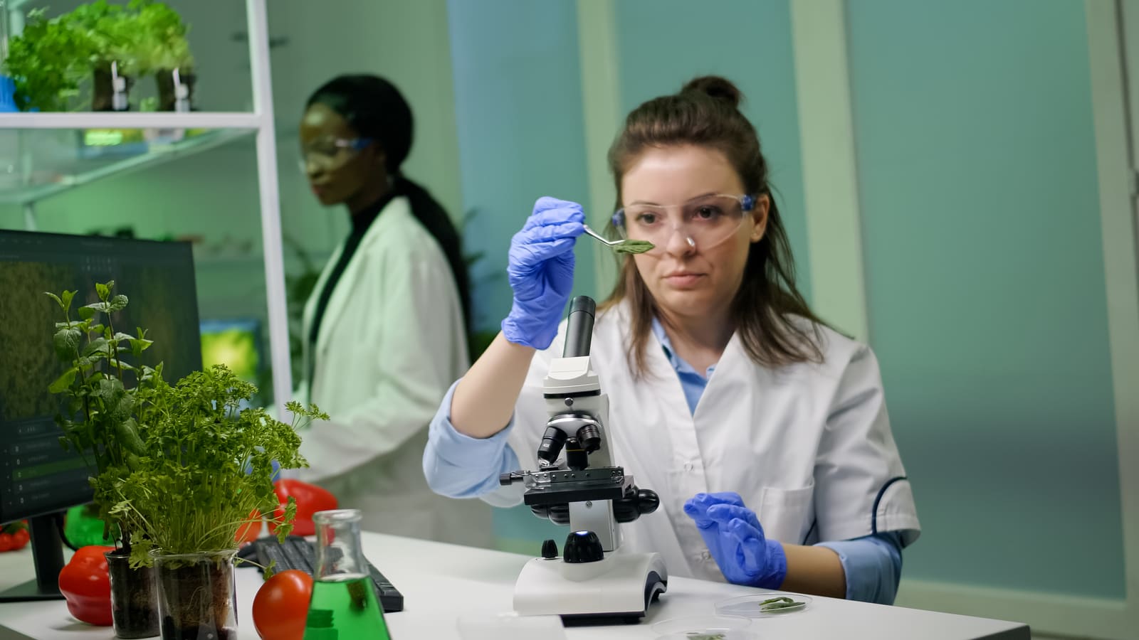 A biology teacher helping students examine specimens under microscopes in the lab